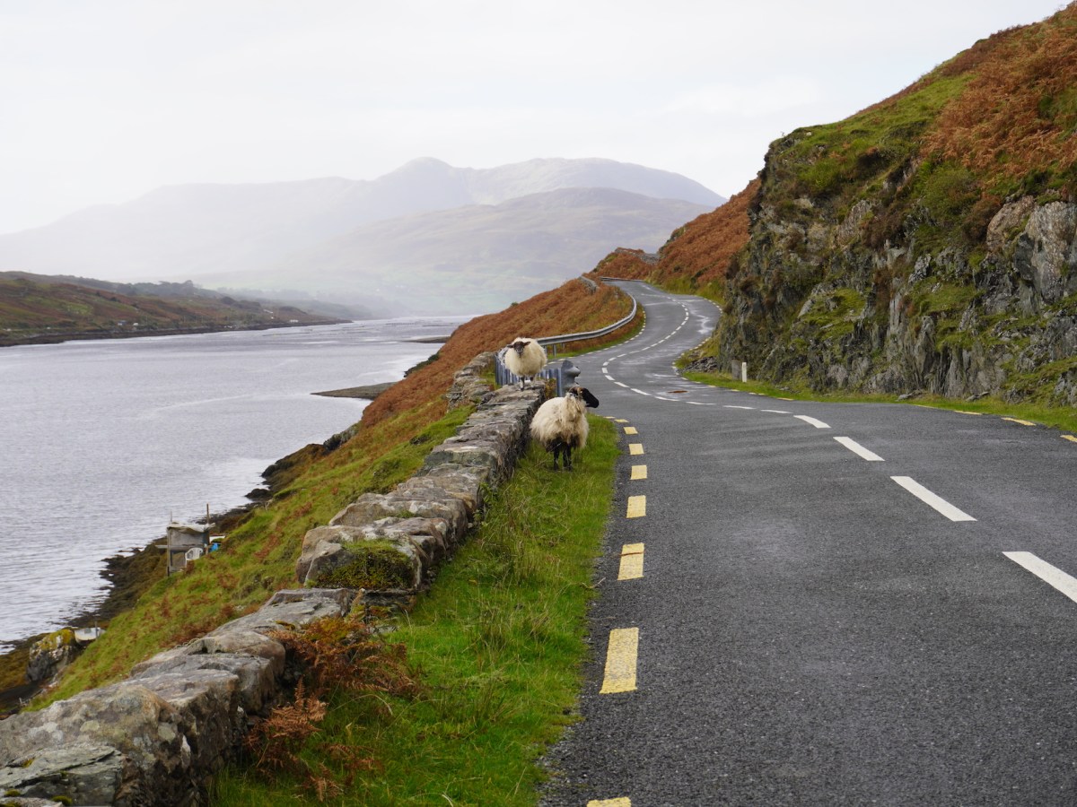 Irland – das Land der grünen&nbsp;Weiten